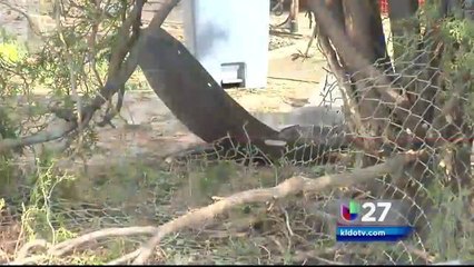 Hombre choca contra dos viviendas en 2200 Baltimore