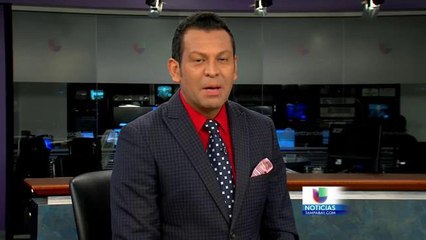 El santuario de los felinos