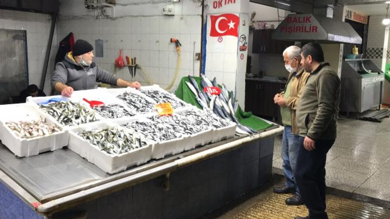 Batı Karadenizli balıkçılar çinekop ve mezgitten umutlu