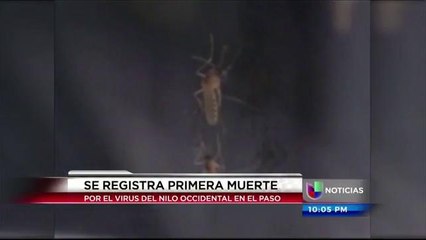 Se registra la primera muerte por culpa del virus del nilo.