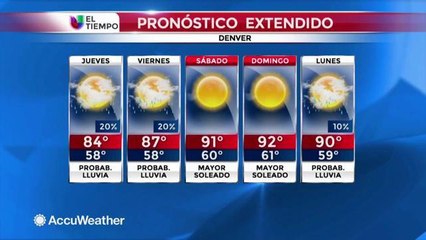 Celebramos el Día Nacional del Perro