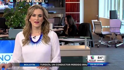 Colorado rescata una docena de animales maltratados en México