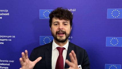 Benifei (Pd), il panel dei cittadini a Firenze sarà crucialeIMG_7511