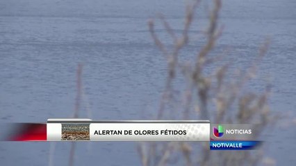 Olor a huevo podrido en el Valle de Coachella