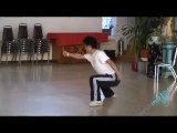 Wushu Martial Arts