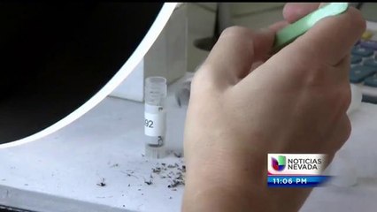 Reportan primer caso de virus del nilo