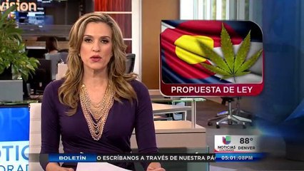 Iniciativa busca protección para la industria del canabis del Gobierno Federal