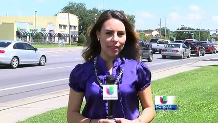 serán adquiridos nuevos autobuses escolares