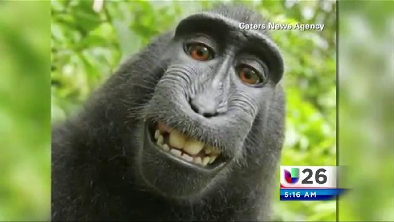 Chango Fotógrafo