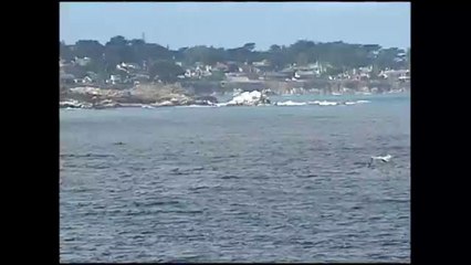 Riesgo de Contaminación en playas del Condado de Monterey
