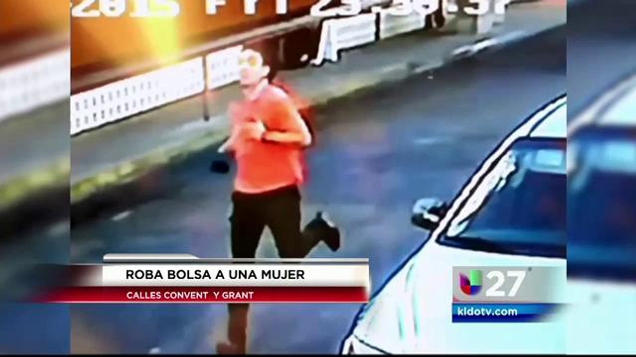 Roba Bolsa a una Mujer