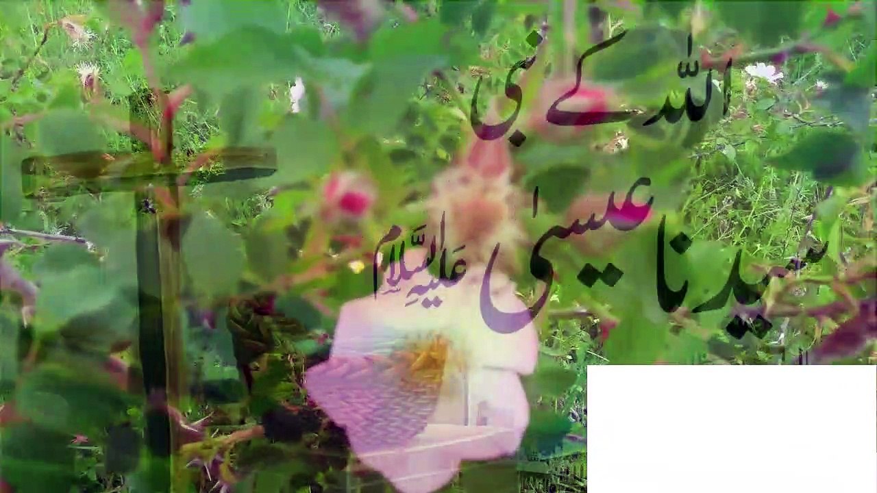 hazrat essa ka waqia, hazrat essa ka waqia, hazrat essa ka nazool, hazrat essa ka waqia tariq jameel, hazrat essa ka waqia tariq masood, hazrat essa ka waqia full, hazrat essa ka waqia in quran, hazrat essa ka waqia in urdu, hazrat essa ka waqia pashto, h