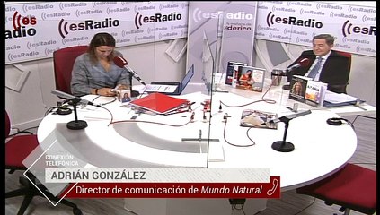 Mundo Natural: Cómo mitigar la caída del pelo