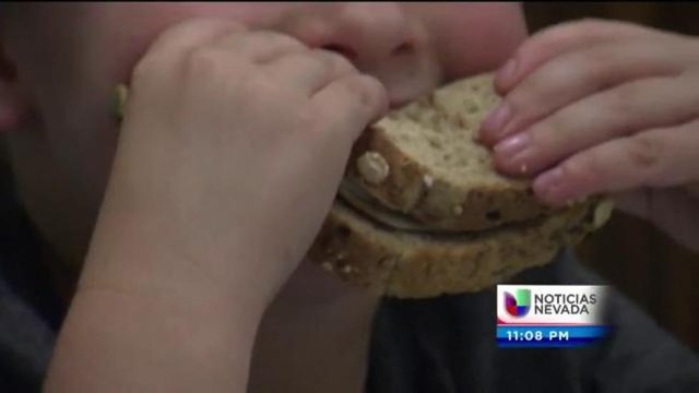 Opciones saludables en almuerzos escolares