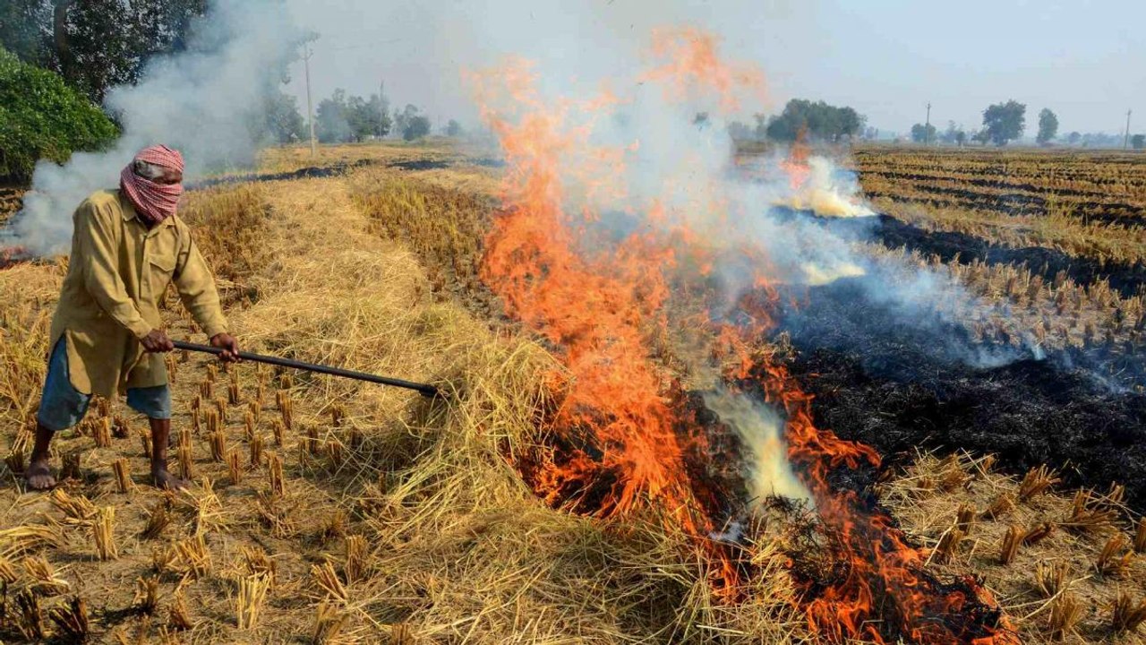 Exclusive investigation exposes stubble managem...