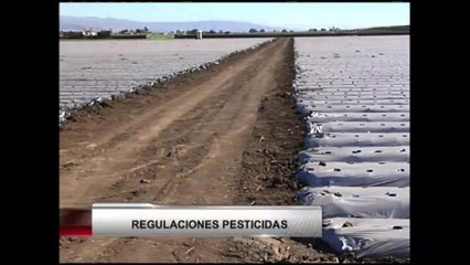 Nuevas regulaciones en los campos