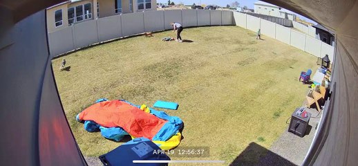 Toddler Collides with Playful Puppy