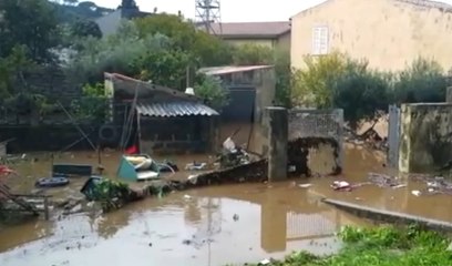 Télécharger la video: Maltempo in Sardegna, a Monti (Sassari) strade e abitazioni invase dall'acqua (17.11.21)