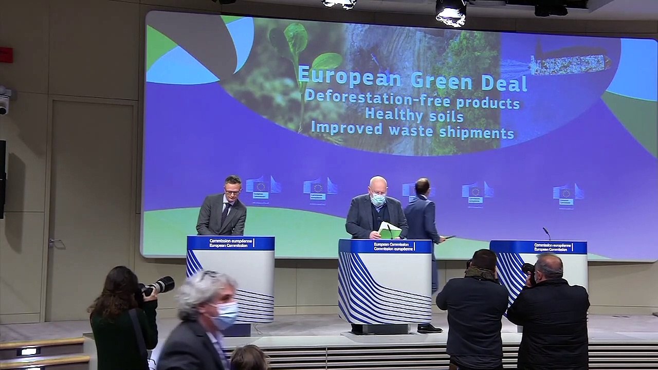 Ehrgeiziger Vorstoß der EU-Kommission: Gesetz soll Regenwald-Abholzung stoppen