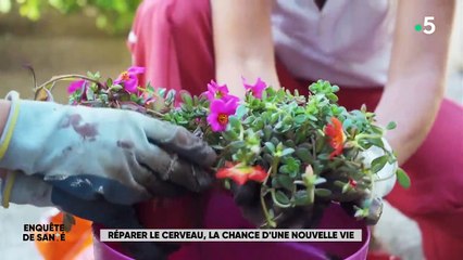 Réparer le cerveau - la  chance d'une nouvelle vie (partie 1)