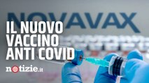Covid, Ema valuta Novavax: cos'è e come funziona il vaccino a proteine ricombinanti