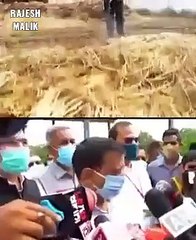 TRUTH ABOUT PARALI AD| DELHI GOVERNMENT | KEJRIWAL