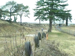 Berchere mars 2008 005