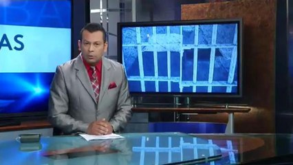 Ideas creativas para dar trabajo a presos