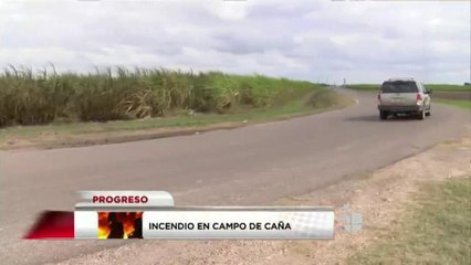Incendio en campo de caña en Progreso