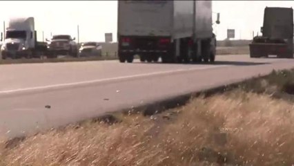 Operativo en carreteras por dia de acción de gracias