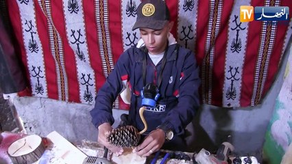 الطارف: تحف ومجسمات من بقايا الخشب.. أنامل شاب تتحدى الصعاب
