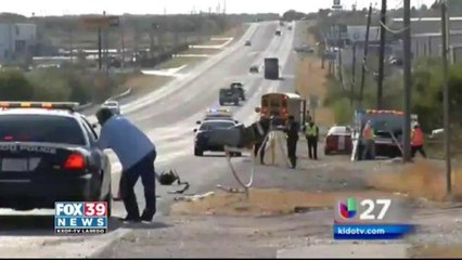 Bar owner arrested for serving alcohol after-hours