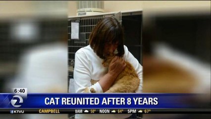 CAT REUNITED WITH FAMILY AFTER 8 YEARS