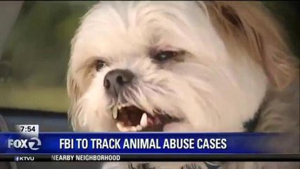 FBI TO START TRACKING ANIMAL ABUSE