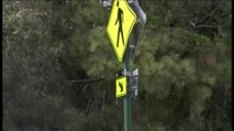 Preocupación ante el número de muertes de peatones y ciclistas en Tampa