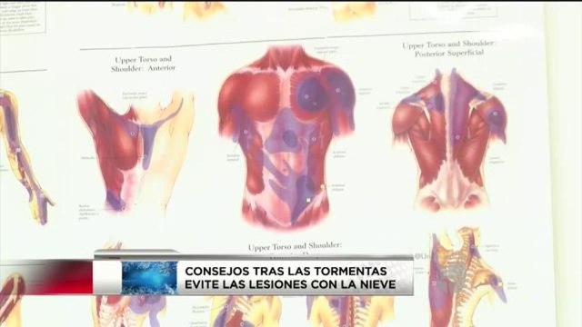 Recomendaciones para prevenir lesiones al palear