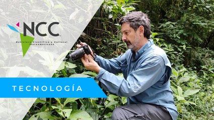 Conoce al gran retratista de mariposas en Colombia