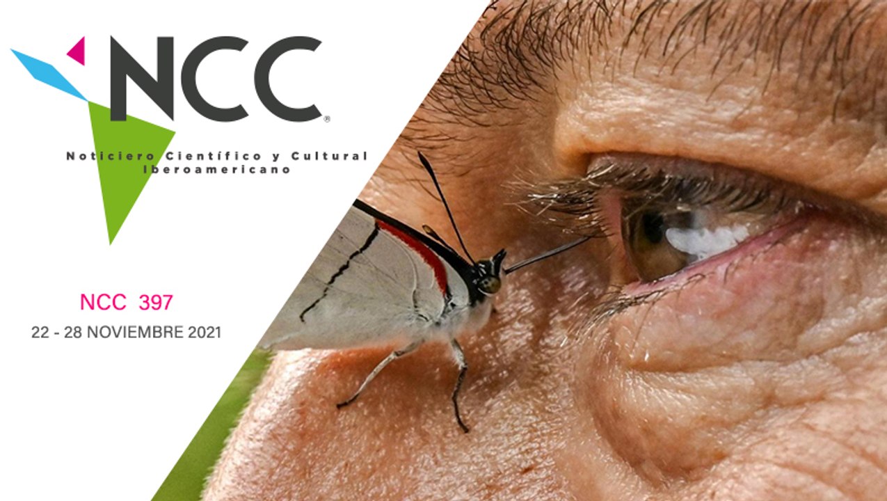 Noticiero Científico y Cultural Iberoamericano, emisión 397. 22 al 28 de noviembre de 2021