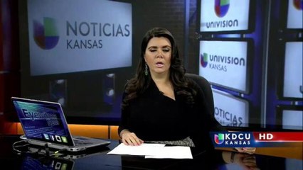 Mujer enfrenta cargo de maltrato animal