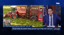 مدير معهد المحاصيل الحقلية: لأول مرة في تاريخ مصر إعلان سعر لتوريد 