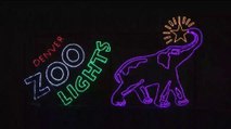 Ganador de boletos para Denver Zoo Lights
