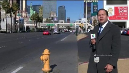 Accidentes, Fatalidades y Arrestos en las Celebraciones de Fin de Año