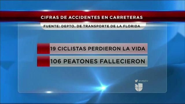 Autoridades buscan educar tanto a peatones como a ciclistas