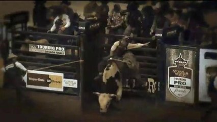 Ritual de belleza del ganado del NWSS