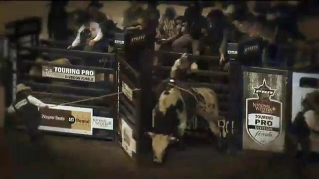 Zoológico de animales en NWSS