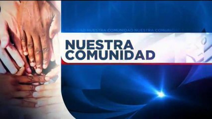 ¿Que hacer con nuestros árboles de Navidad?