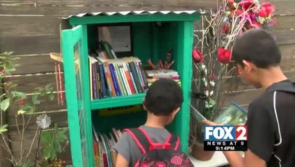 McAllen Woman Launches \'Little Free Library\'
