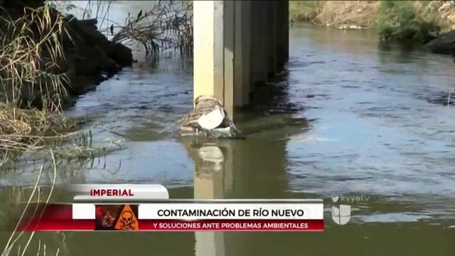 Contaminación de Río Nuevo y soluciones ante problemas ambientales