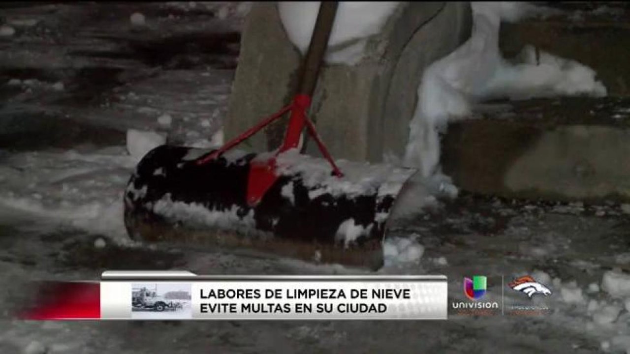 Limpieza tras la tormenta
