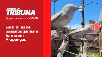 Esculturas de pássaros ganham forma em Arapongas